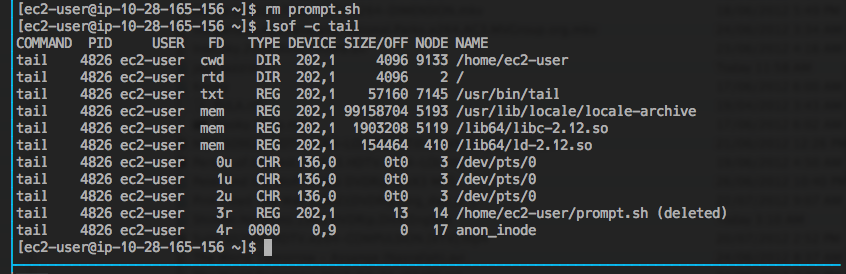 lsof -c tail