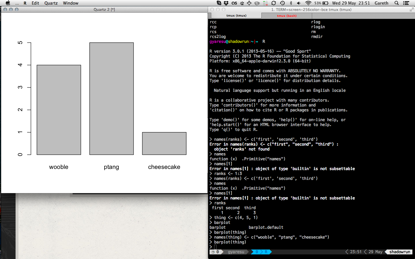 First barchart in R