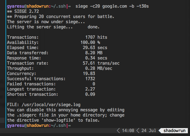 Siege HTTP benchmark against google.com