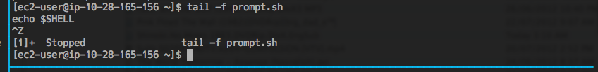 tail -f prompt.sh